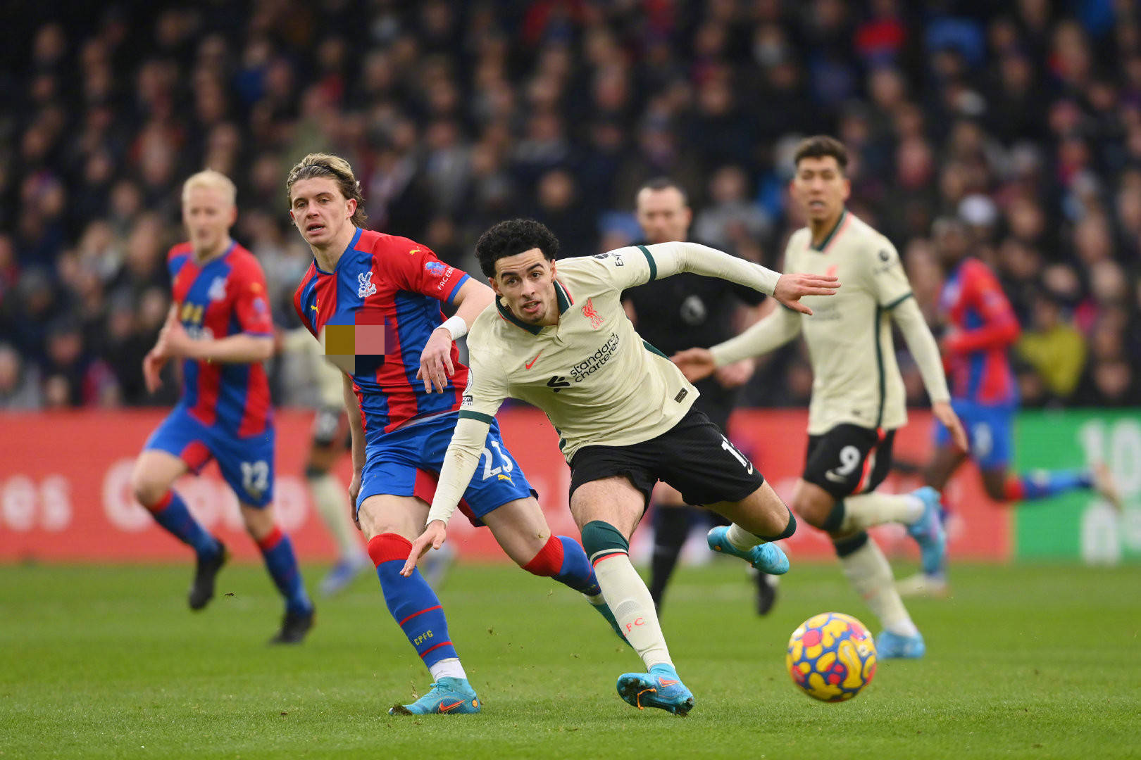 港澳地区的 港澳地区的